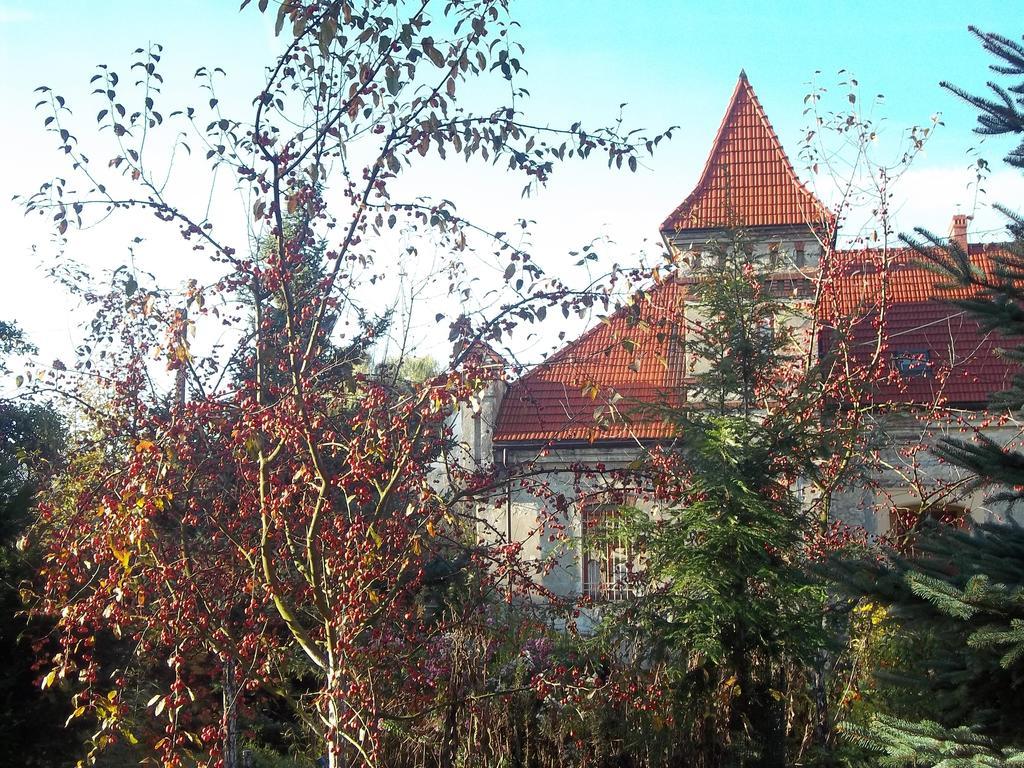 Dwór w Boleniu Exterior foto